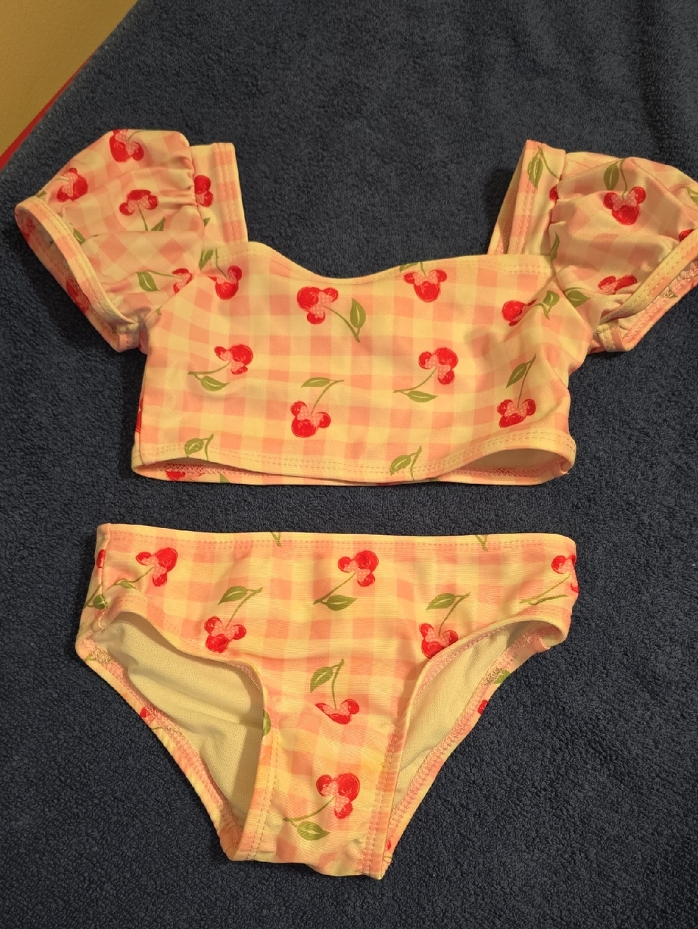 Disney Minnie Pink Gingham Cherry Bikini Set